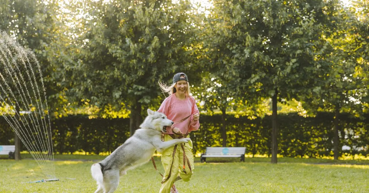 Ultimate Guide to Understanding Your Pet's Health Needs
