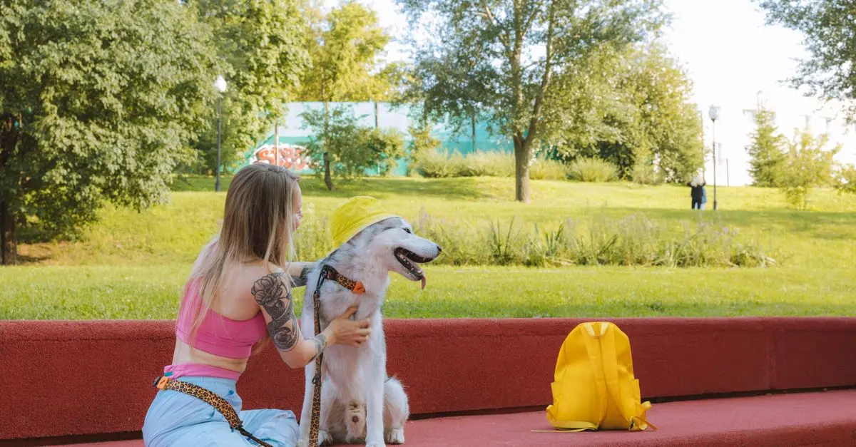 How to Create the Ultimate Pet Care Routine for Happy Pets