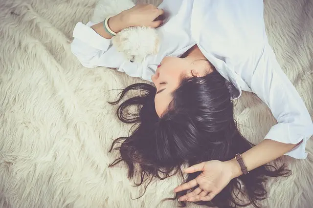 10 Essential Tips for Building a Strong Bond with Your Pet