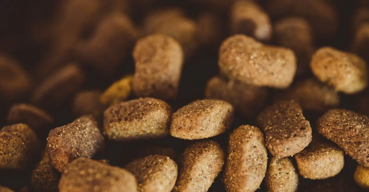 Understanding Different Pet Dietary Needs: A Complete Guide