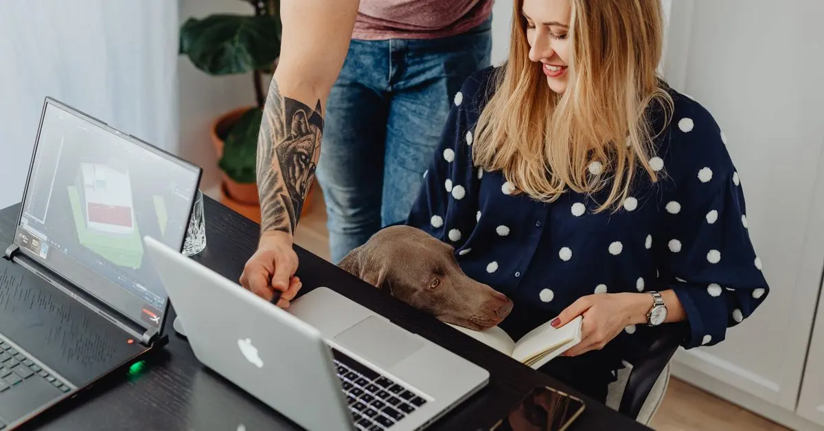 The Essential Guide to Pet Care Innovations