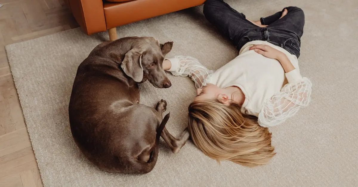 Essential Tips for Ensuring Your Pet’s Safety at Home