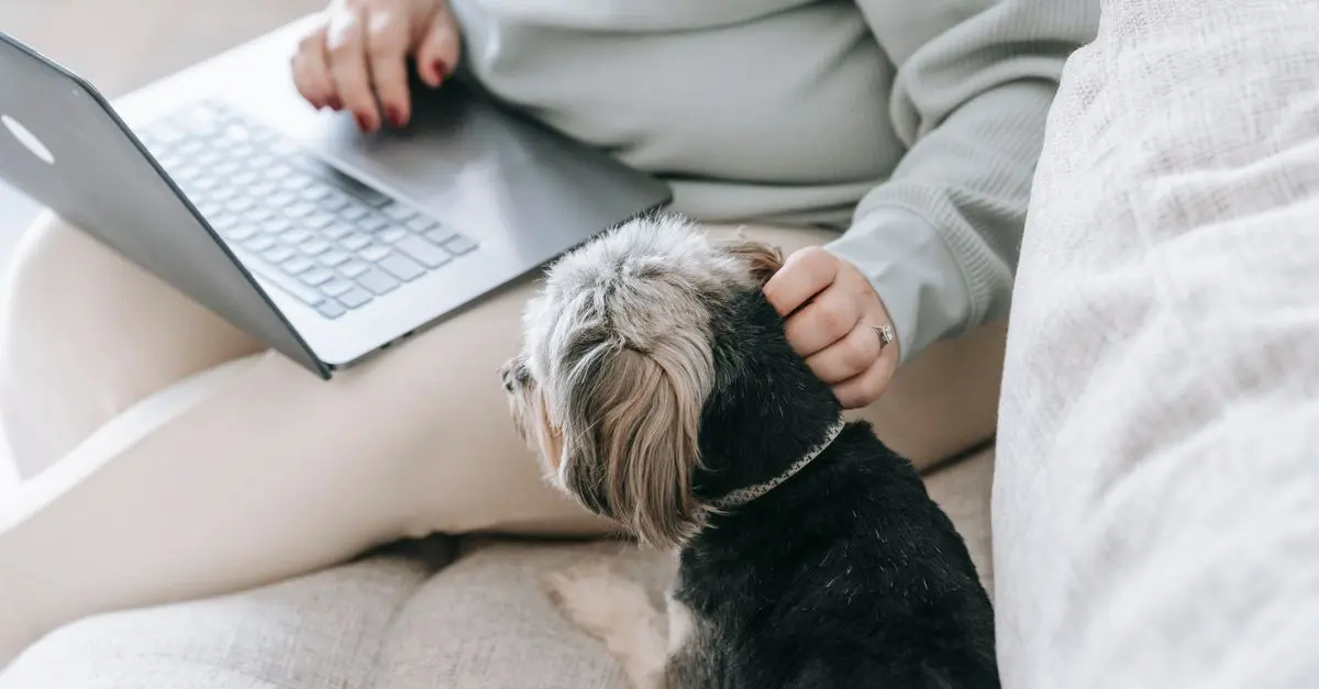 The Future of Pet Technology: Innovations and Gadgets