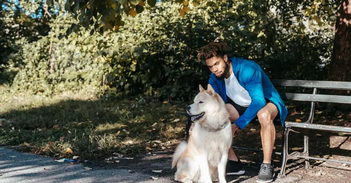 Pet Fitness: How to Keep Your Pets Active and Healthy