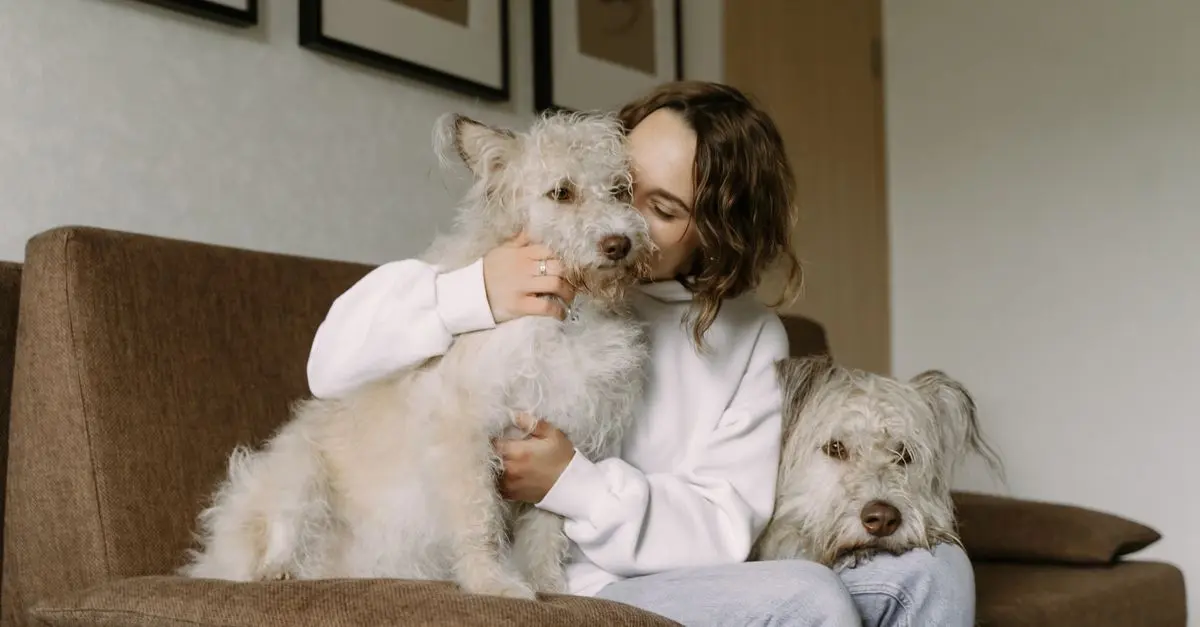 Ultimate Guide to Pet Fitness: Keeping Your Pet Active