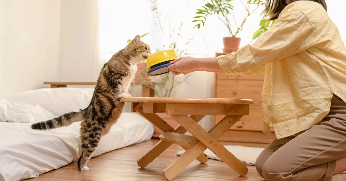Understanding Your Pet's Behavior: A Complete Guide