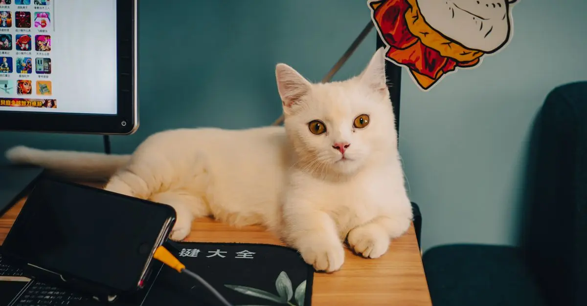 Top 10 Pet Care Innovations Revolutionizing Pet Ownership