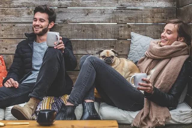 10 Essential Tips for Creating the Ultimate Pet Care Routine
