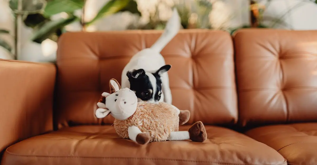 The Ultimate Guide to Pet Enrichment Activities for Happy Pets