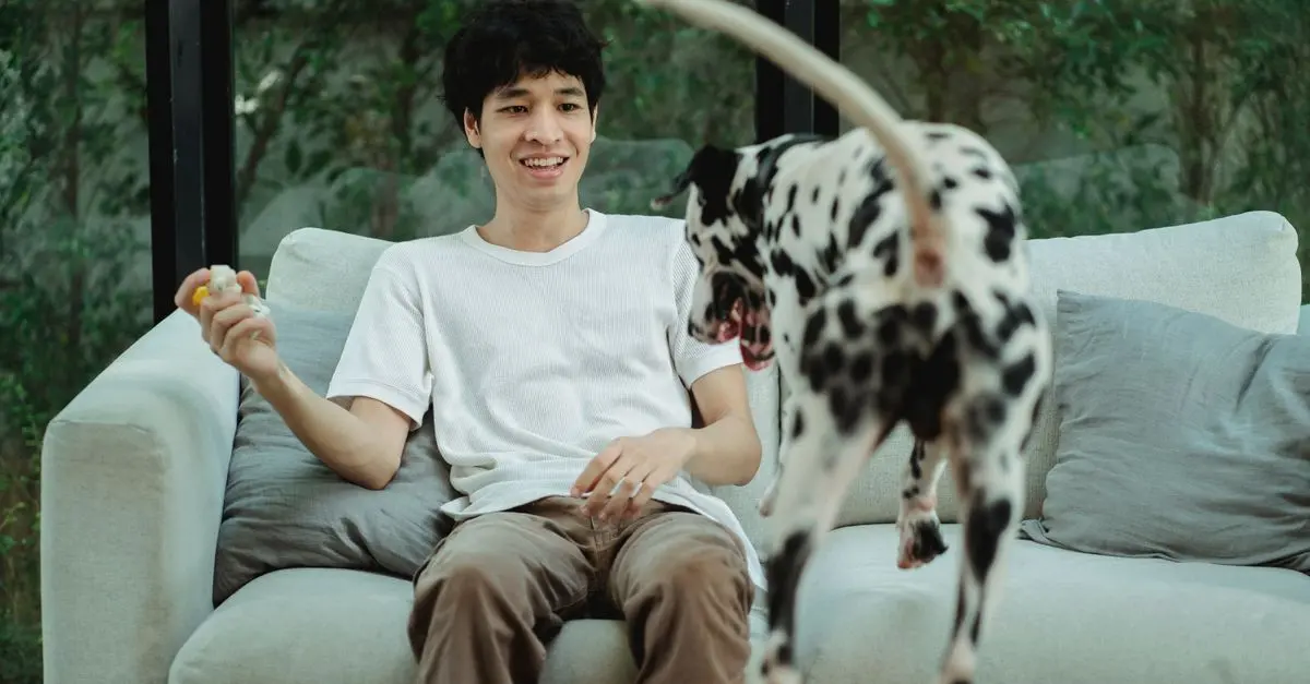 10 Essential Pet Care Tips for a Happy Life
