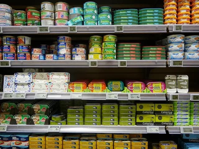 Discover the Best Pet Products for Every Type of Animal