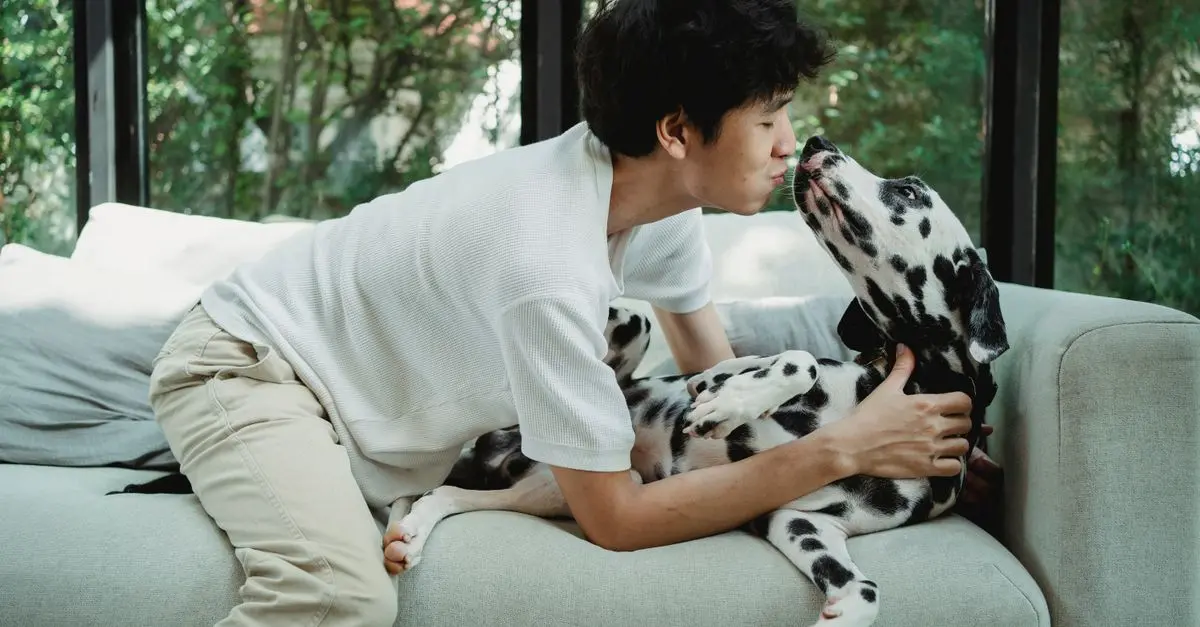 10 Essential Tips for Enriching Your Pet's Life