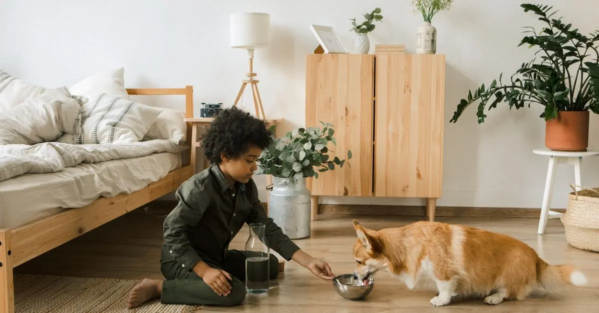 10 Innovative Pet Products to Enhance Your Pet's Life