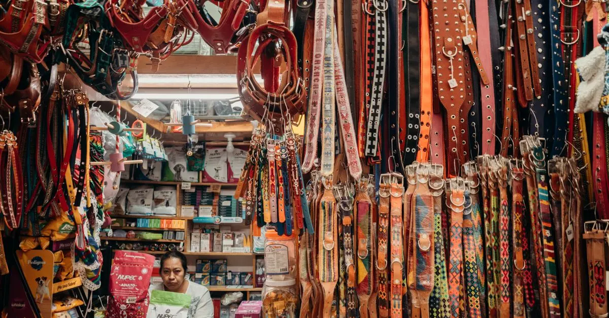 10 Must-Have Products for Every Pet Owner