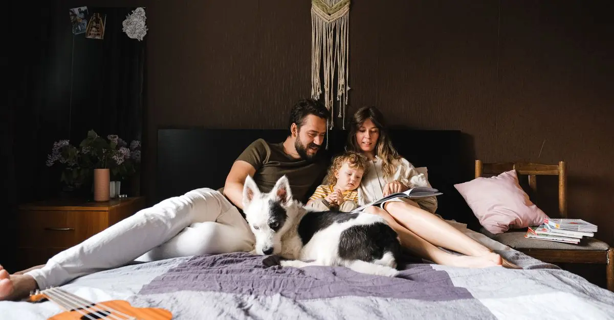 10 Essential Tips for First-Time Pet Owners