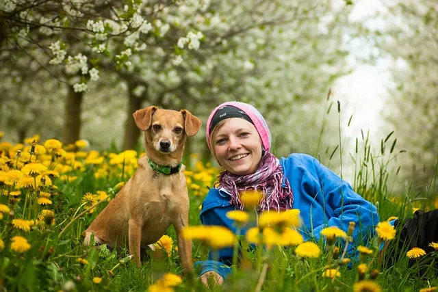 10 Essential Tips for Enhancing Your Pet's Quality of Life