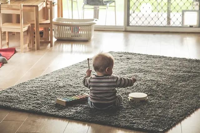 How to Choose the Best Toys for Your Pet's Happiness