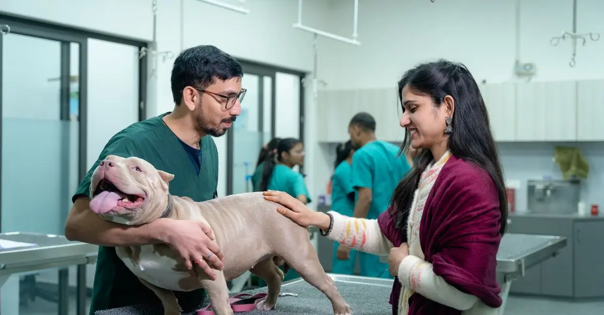 Understanding Pet Insurance: What Every Owner Should Know