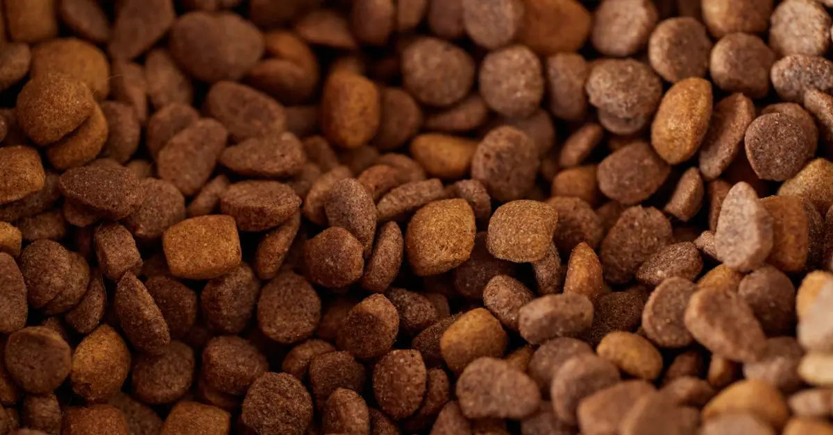 How to Choose the Best Pet Food for Your Furry Friend
