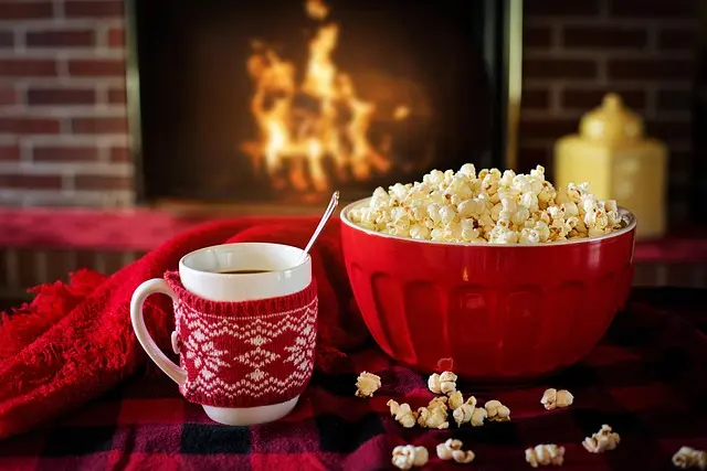 Top 10 Pet Care Tips for Every Season