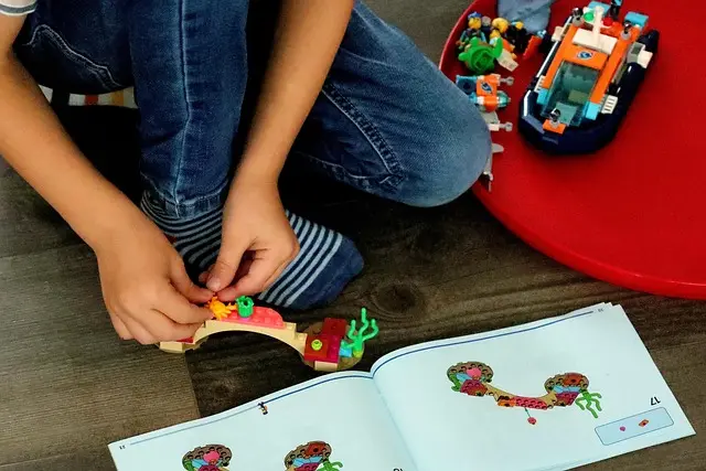 10 Fun Indoor Activities to Keep Your Pets Engaged