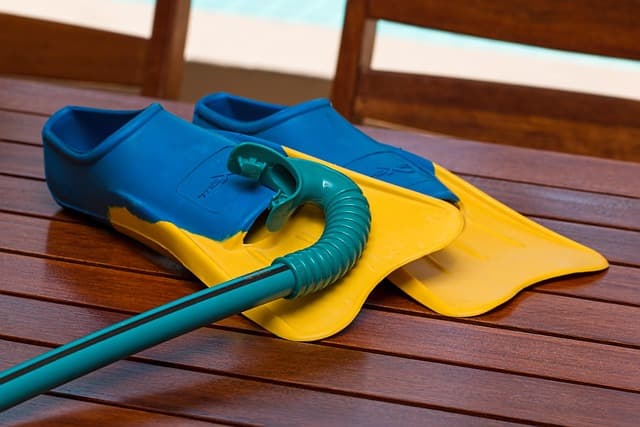 The Ultimate Guide to Pet Enrichment: Activities for Happy Pets