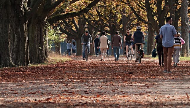 The Ultimate Guide to Building a Pet-Friendly Community