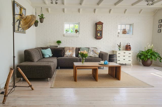 10 Must-Know Tips for Creating a Pet-Friendly Home