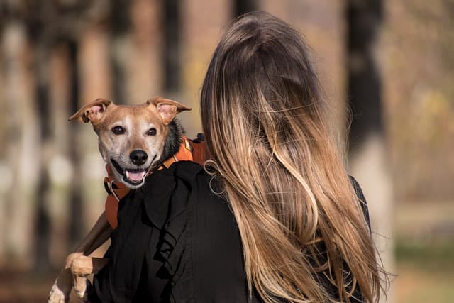 How to Foster a Strong Bond with Your Pet